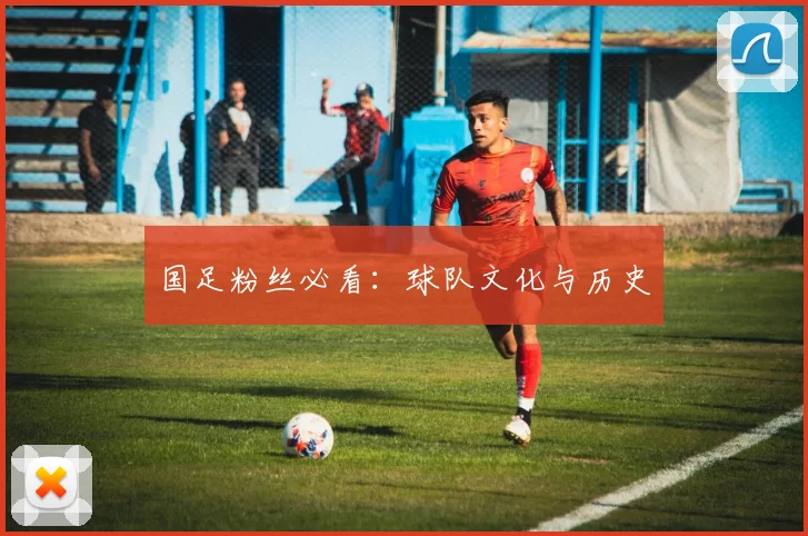 国足粉丝必看：球队文化与历史
