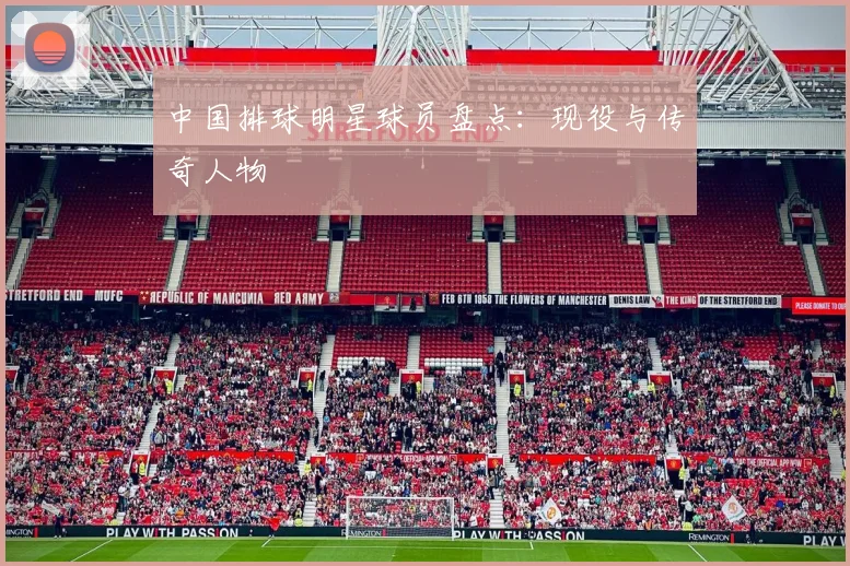 中国排球明星球员盘点：现役与传奇人物